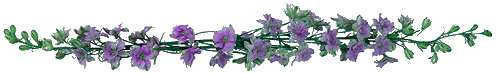[Purpleflowersdivider99[3].gif]