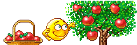 [pickapples[2].gif]