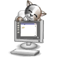 Sleeping_Cat
