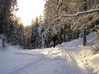 PC310006.JPG Photo