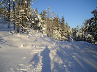PC310014.JPG Photo