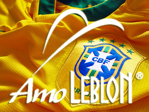 Copa2010_AMO