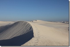 IMG_2439 IMG_2439