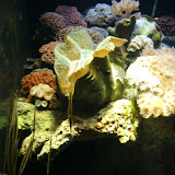 GEDC0068.JPG