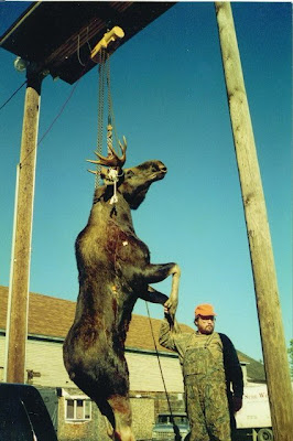 My first moose Maine 1997 Photo taken by my Dad at the check station