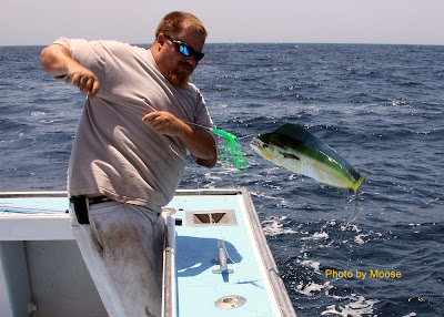 Andy pulling dolphin on board