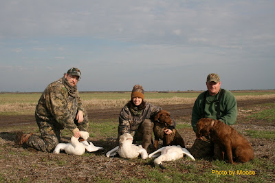 A good day of swan hunting Billy Nicole and I 