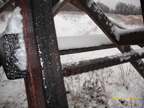 Rain switched to Freezing Rain after day breaking making it a bit hairy climbing out of the stand with all the ice.