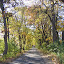 AutumnColors-1.jpg