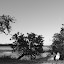 Lakewalk-7.jpg