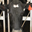 Farm-1.jpg