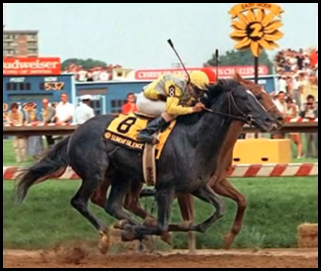 Sunday Silence Vs Easy Goer