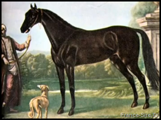 The Byerley Turk