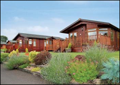 Relax in the Stylish Log Cabins