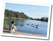 Enjoy the Quiet and Peaceful Holiday Lodges
