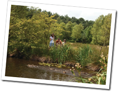 Explore the Stunning Peak District Countryside