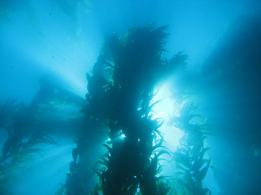 Мой 22ой день рождения. Утро.