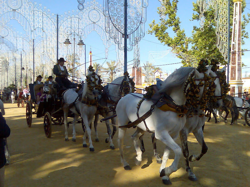 Imagen002.jpg