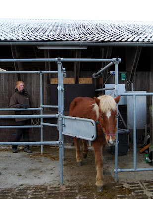 Die neue Kraftfutterstation