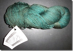 String Theory Caper Sock - Cookie A - Feb 2011
