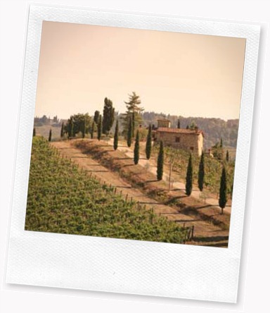 tuscany-wine-region-1