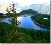 Diber (2) Diber (2)