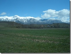Diber