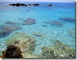 Mare 8