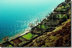 Pogradec Pogradec (2)