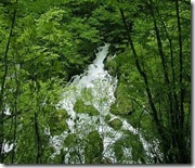 Peshkopi