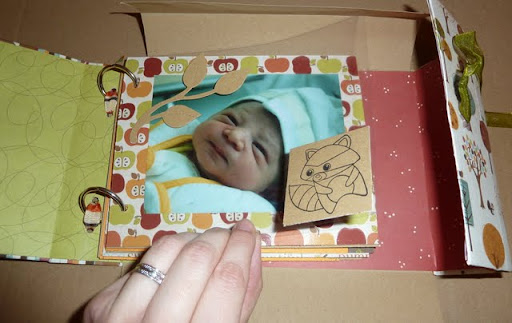 http://lh5.ggpht.com/_CBlDDT8BADQ/TTAWZ6MBcdI/AAAAAAAAASY/F1VY3aEm8fs/P1030529.JPG