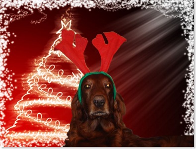 Rudolf