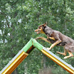 DSC_0203.JPG