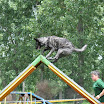 DSC_0222.JPG