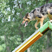 DSC_0251.JPG
