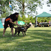 DSC_0441.JPG