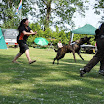 DSC_0485.JPG