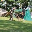 DSC_0519.JPG