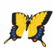 [butterfly-06[8].gif]