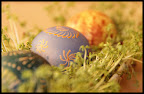 Here are some of our easter eggs.