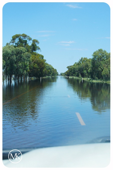 [floods 8[3].jpg]