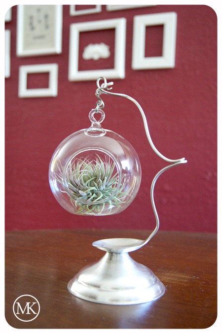 [Terrarium hanger 1[3].jpg]