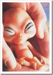 alienbebe