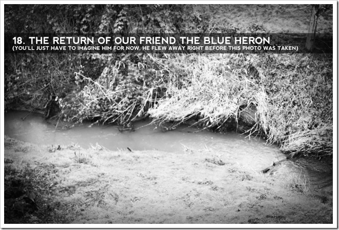 naming-his-gifts-18-herons