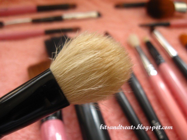 [dried charm blush brush, by bitsandtreats[6].jpg]
