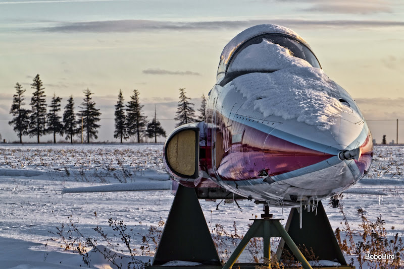 IMAGE: http://lh5.ggpht.com/_CJO7PukdLlc/TUmYurfRRNI/AAAAAAAAEoE/c7YbXJCk490/s800/20110130_5232.jpg