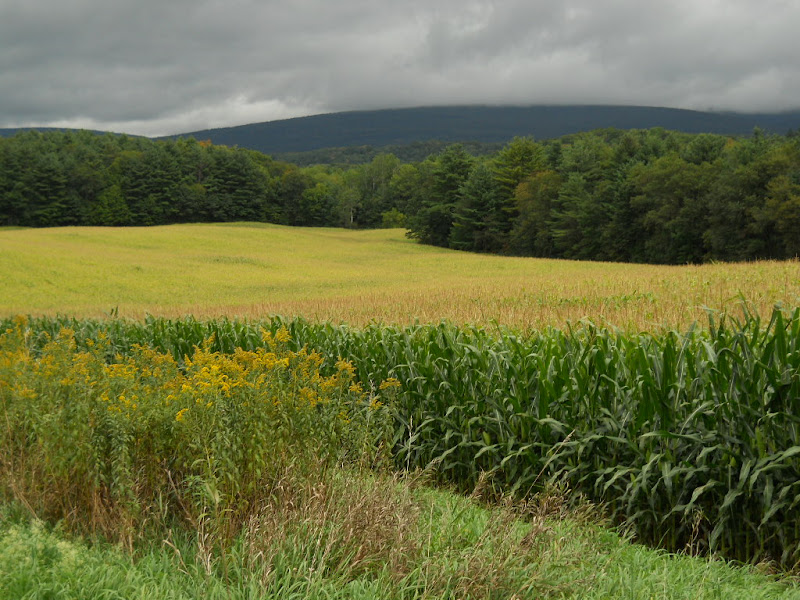 Sept. 10, 2010 Covered bridge east of Cavendish, Vermont.