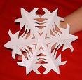 [snowflake[4].jpg]