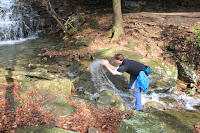 IMG_3930.JPG Photo