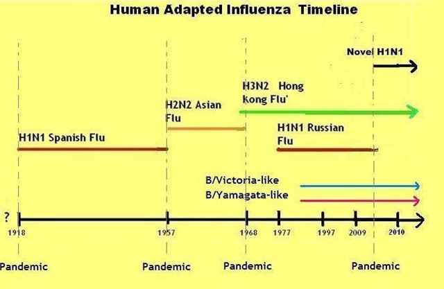 [Flu Timeline 2010[3].jpg]